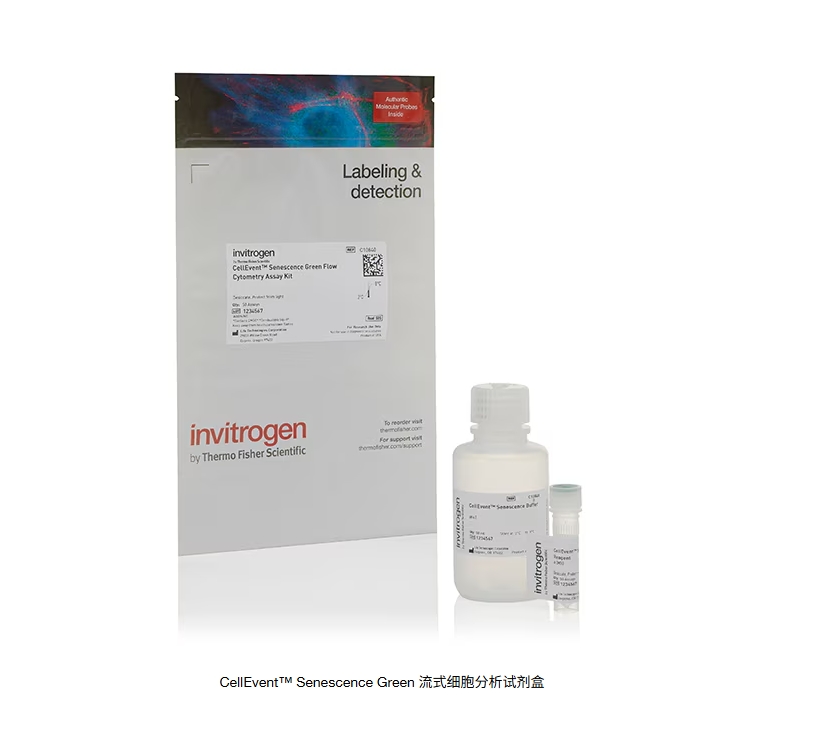 CellEvent™ Senescence Green 流式细胞分析试剂盒