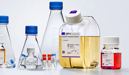 EasyPep™ Magnetic MS Sample Prep Kit