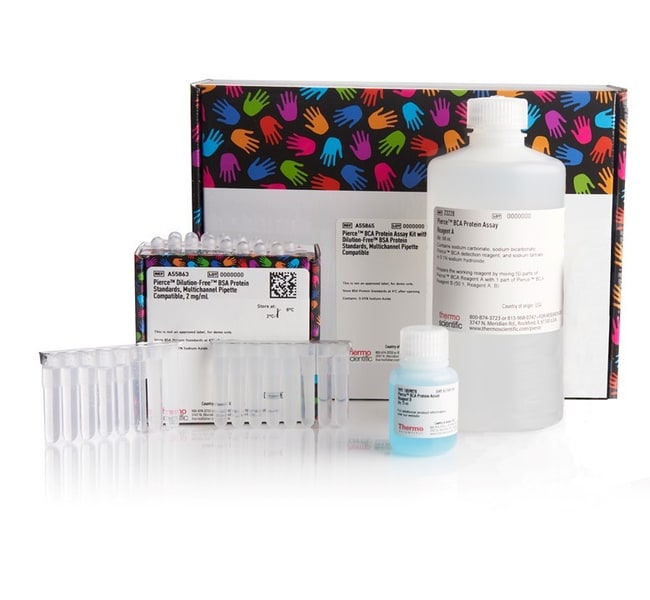 Pierce BCA Protein Assay Kit with Dilution-Free BSA Protein Standards, multichannel pipette compatible
