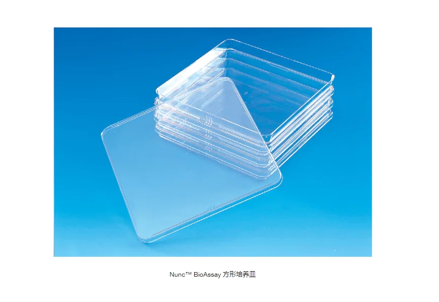 Nunc™ BioAssay 方形培养皿