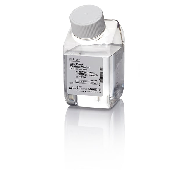 UltraPure蒸馏水（DNase/RNase-Free），500 mL