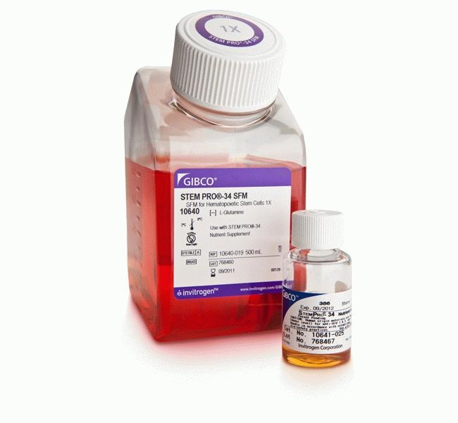 StemPro-34 SFM (1X)
