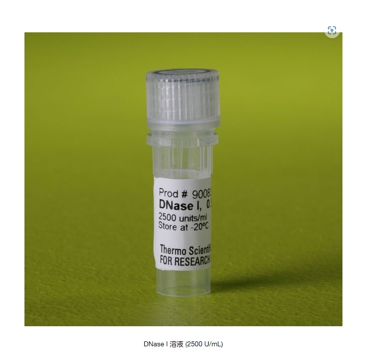 DNase I 溶液 (2500 U/mL)