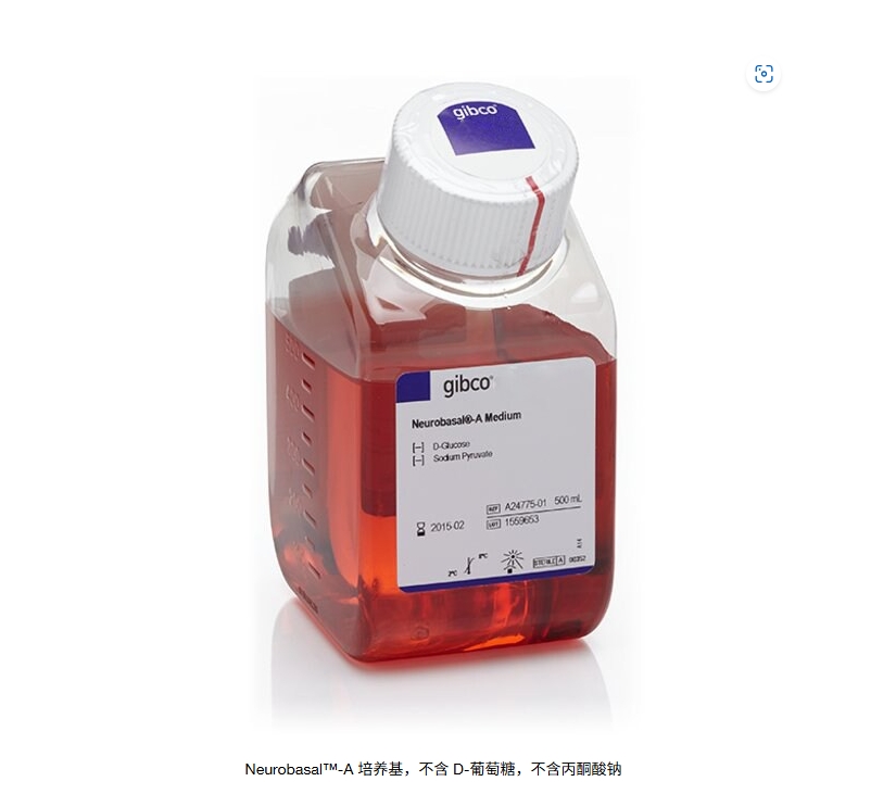 Neurobasal™-A 培养基，不含 D-葡萄糖，不含丙酮酸钠