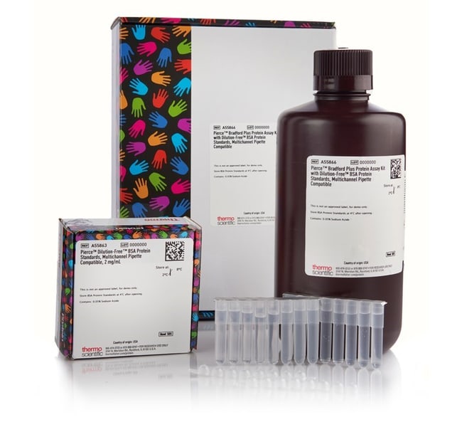 Pierce Bradford Plus Protein Assay Kit with Dilution-Free BSA Protein Standards, multichannel pipette compatible