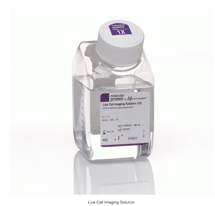 Live Cell Imaging Solution