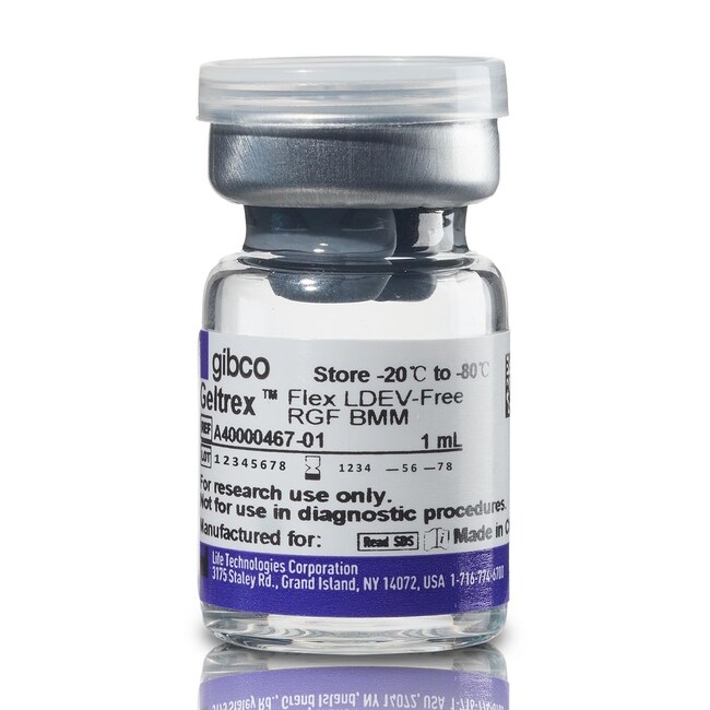 Geltrex Flex LDEV-Free Reduced Growth Factor Basement Membrane Matrix, 1 mL