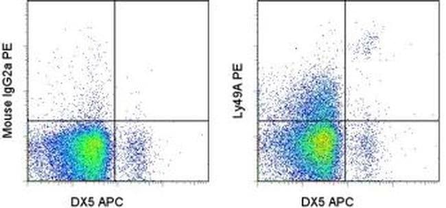 Ly-49A Monoclonal Antibody (A1 (Ly49A)), PE, eBioscience