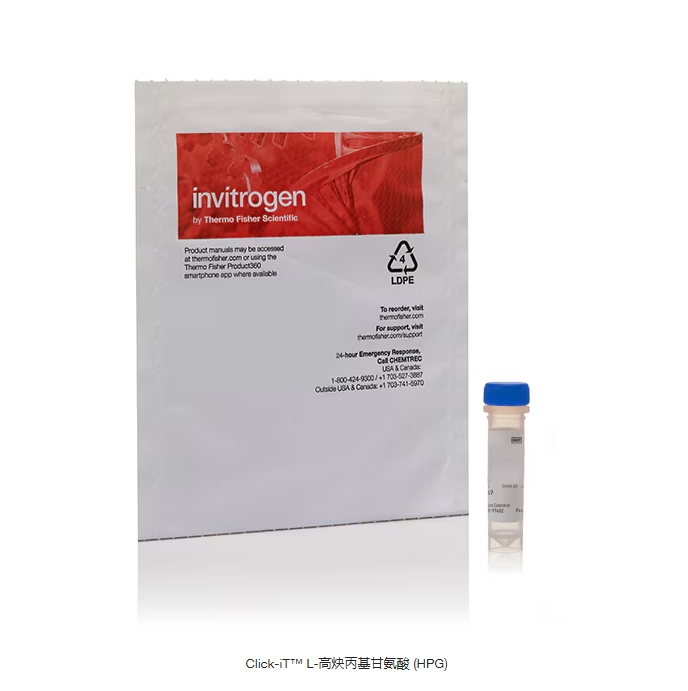 Click-iT™ L-高炔丙基甘氨酸 (HPG)