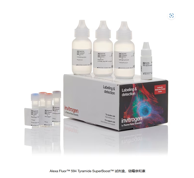 Alexa Fluor™ 594 Tyramide SuperBoost™ 试剂盒，链霉亲和素