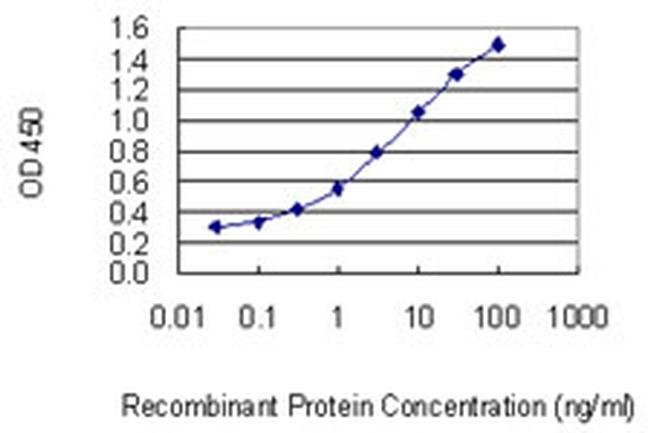 C13orf15 Monoclonal Antibody (3B9)