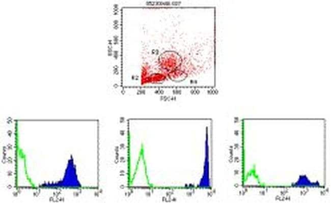 CD44 Monoclonal Antibody (IM7), PE, eBioscience
