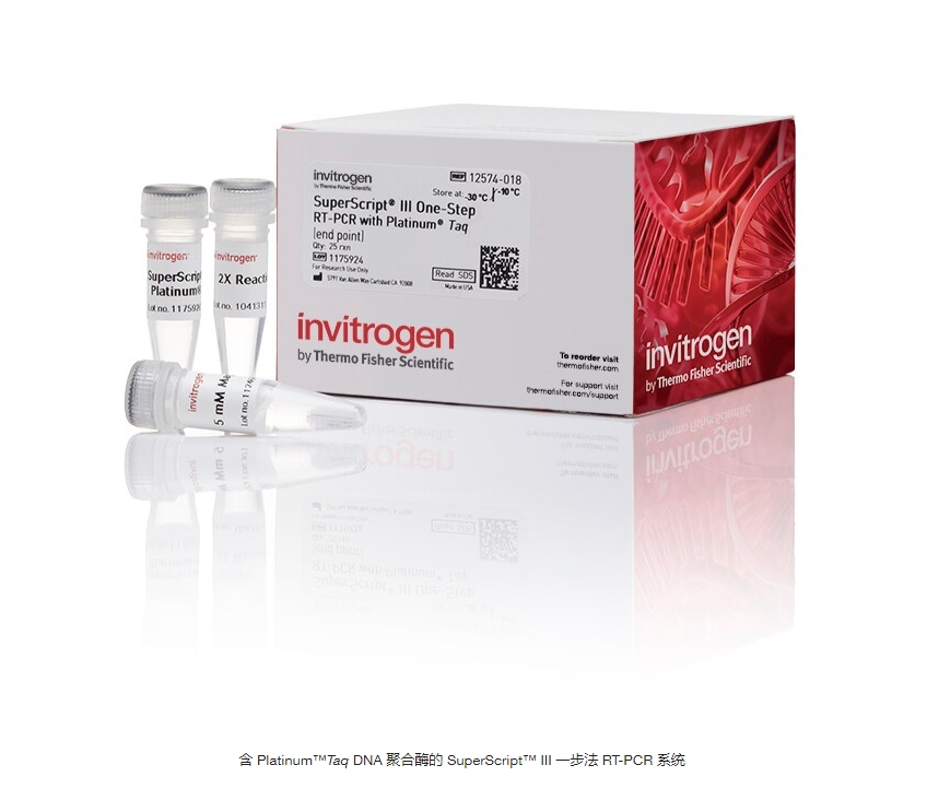 含 Platinum™Taq DNA 聚合酶的 SuperScript™ III 一步法 RT-PCR 系统