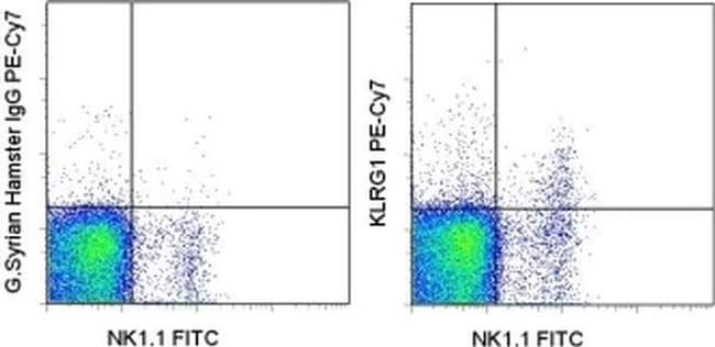 KLRG1 Monoclonal Antibody (2F1), PE-Cyanine7, eBioscience