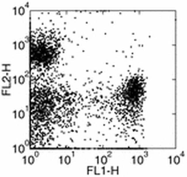 Ly-6G/Ly-6C Monoclonal Antibody (RB6-8C5), Biotin, eBioscience