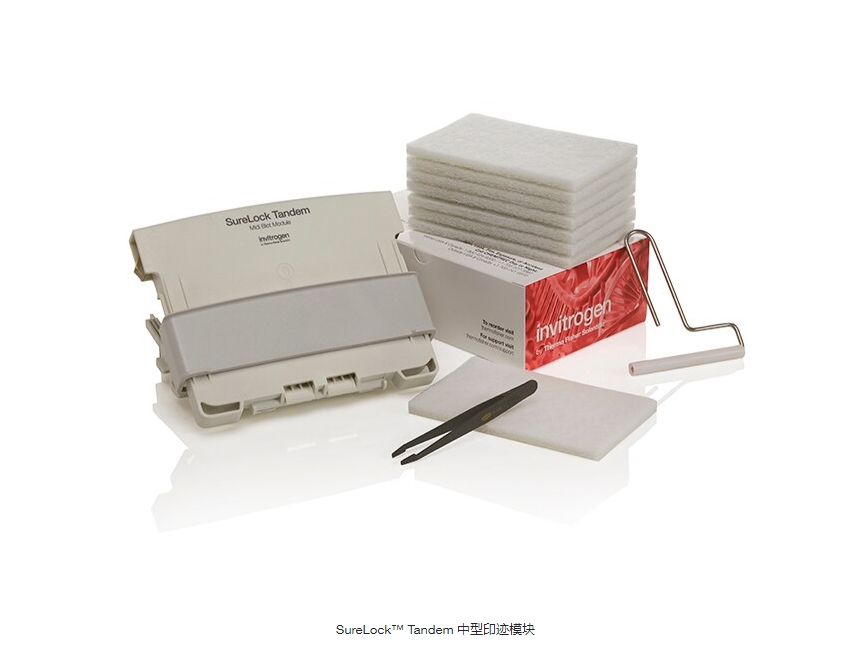 SureLock™ Tandem 中型印迹模块