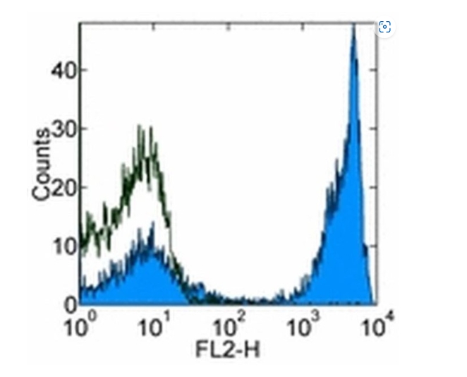 CD45R (B220) Monoclonal Antibody (RA3-6B2), Biotin, eBioscience™