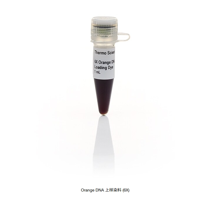 Orange DNA 上样染料 (6X)
