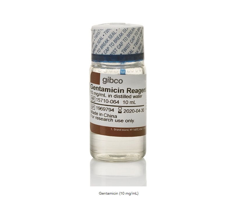 Gentamicin (10 mg/mL)