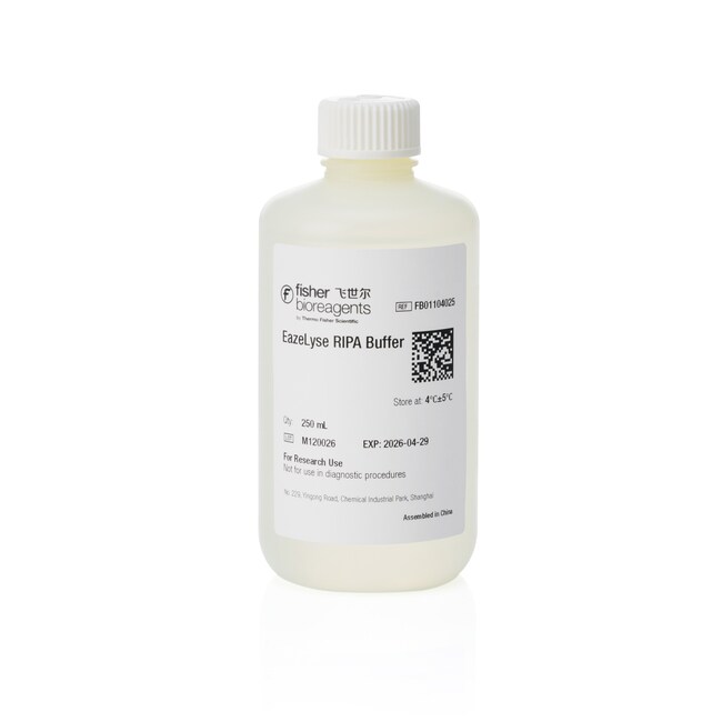 EazeLyse RIPA 缓冲液, 250 mL
