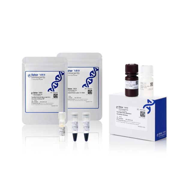 EazePack Western Blot 迎新套装（预染蛋白 Marker、Ultra 底物、羊抗小鼠 HRP 二抗）, 1 套