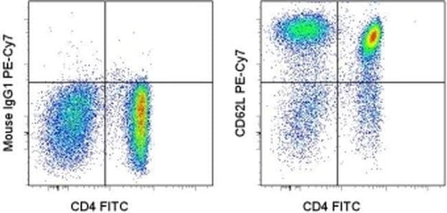 CD62L (L-Selectin) Monoclonal Antibody (DREG-56 (DREG56)), PE-Cyanine7, eBioscience