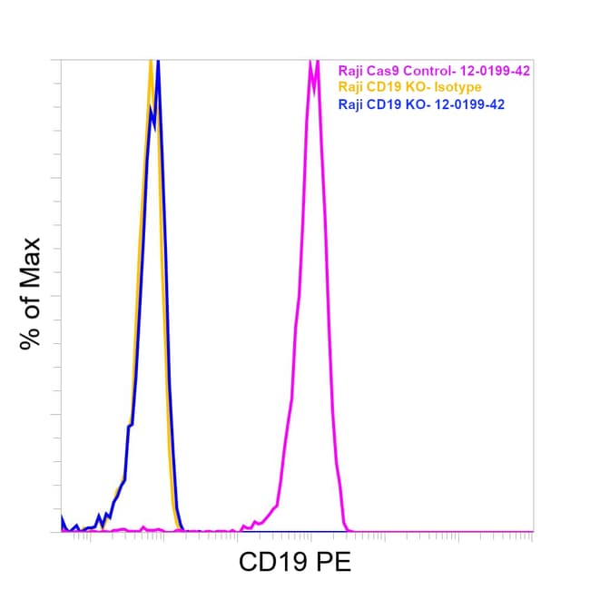 CD19 流式抗体 (HIB19), PE