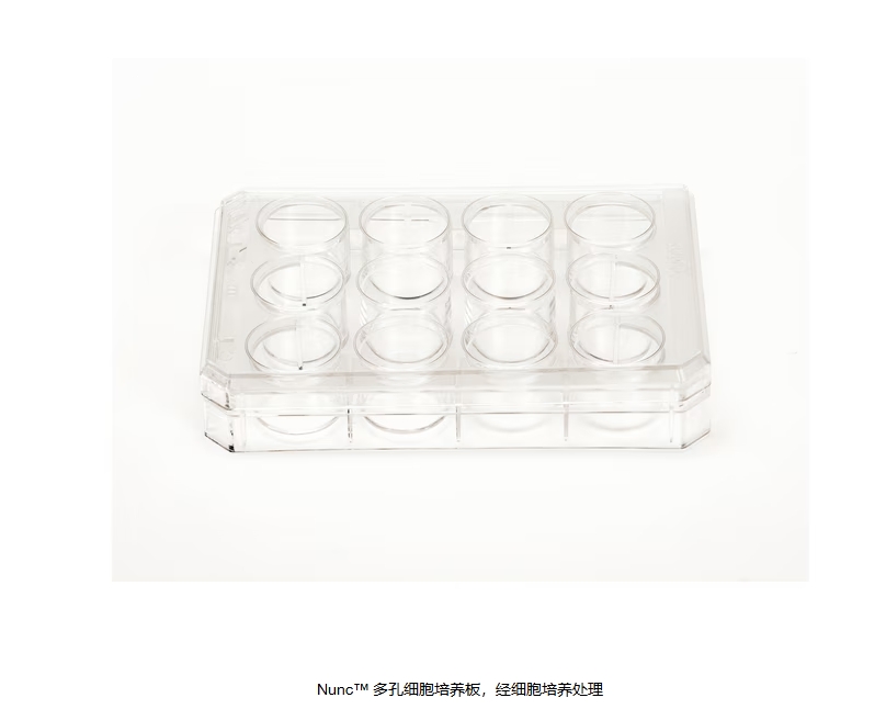 Nunc™ 多孔细胞培养板，经细胞培养处理