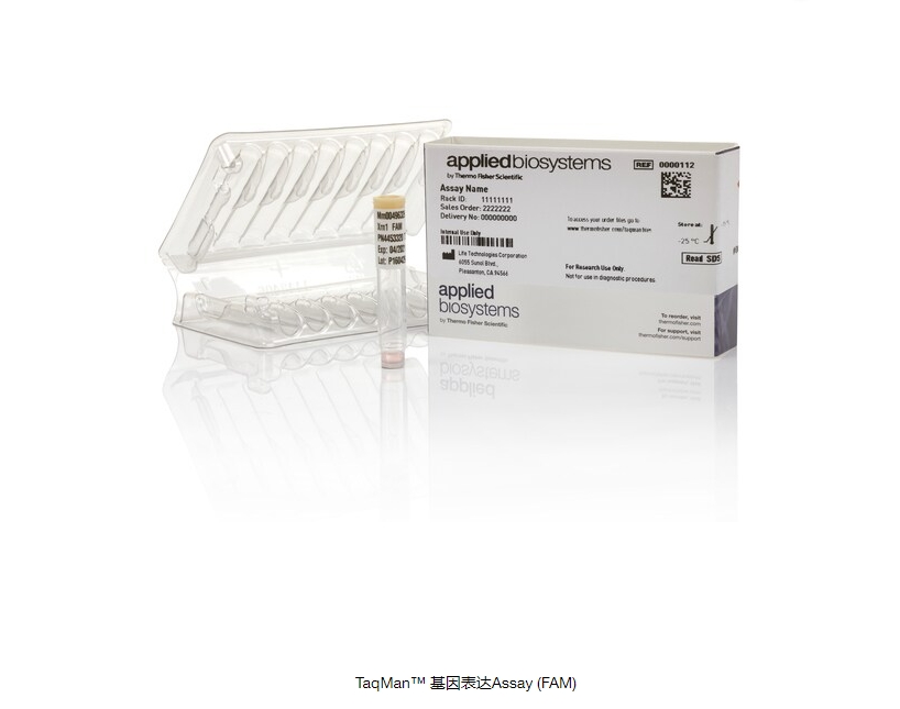 TaqMan™ 基因表达Assay (FAM)