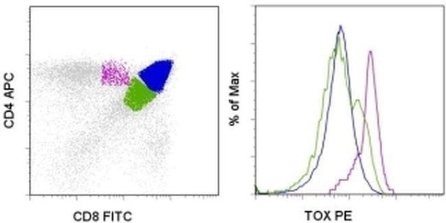 TOX 流式抗体 (TXRX10), PE