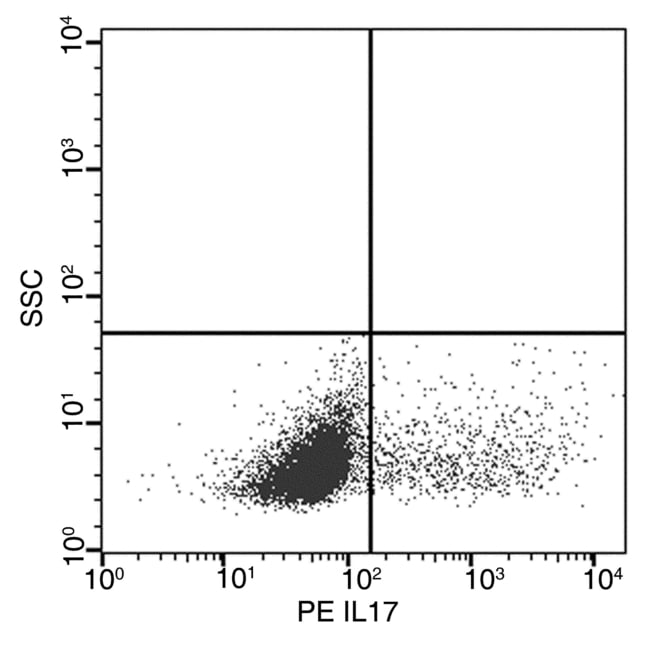 IL-17A Recombinant Rabbit Monoclonal Antibody (217), PE