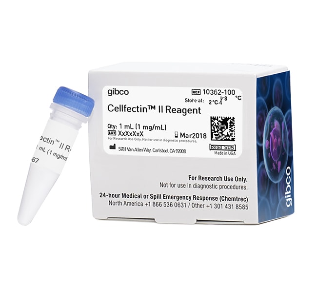 Cellfectin II，昆虫细胞转染试剂