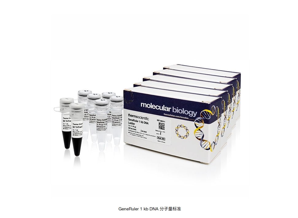 GeneRuler 1 kb DNA 分子量标准