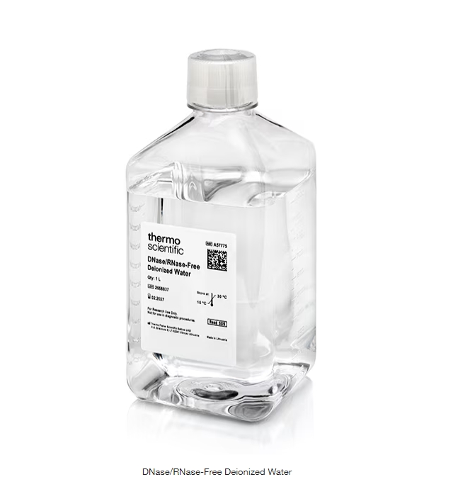 DNase/RNase-Free Deionized Water