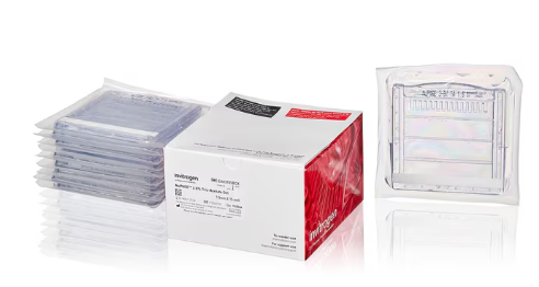 NuPAGE™ 3-8%，Tris-乙酸，1.0–1.5 mm，小型蛋白凝胶