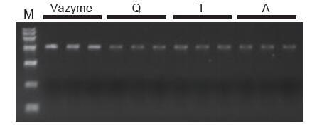 南京诺唯赞生物科技股份有限公司