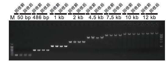 南京诺唯赞生物科技股份有限公司
