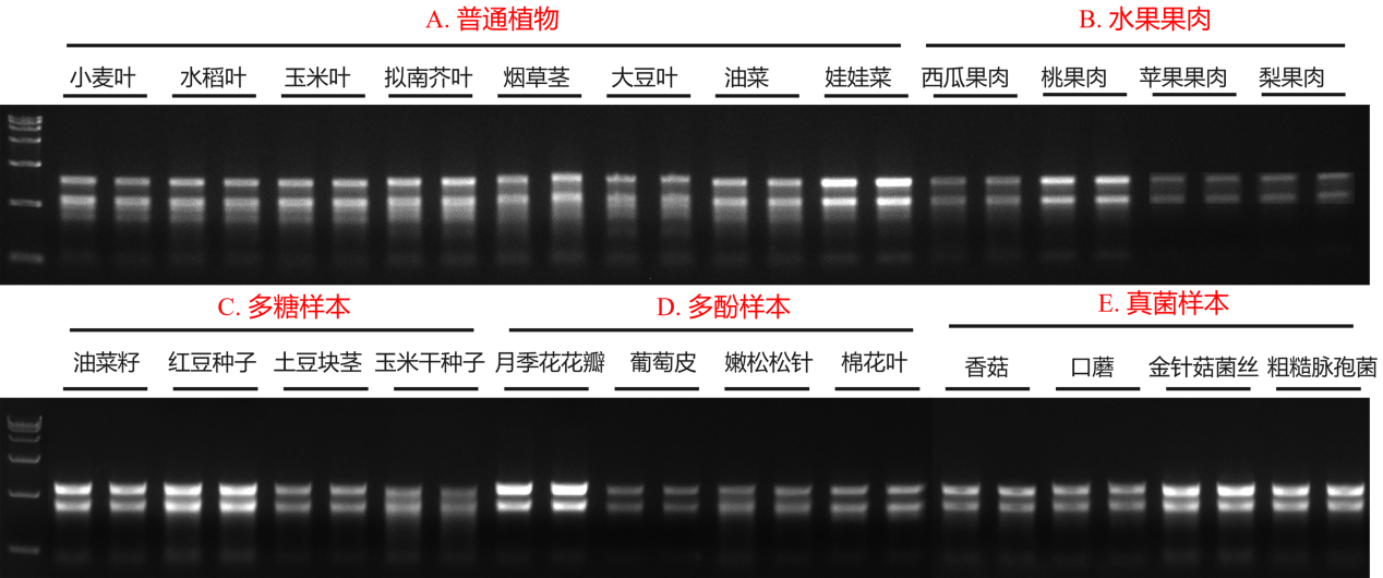 南京诺唯赞生物科技股份有限公司